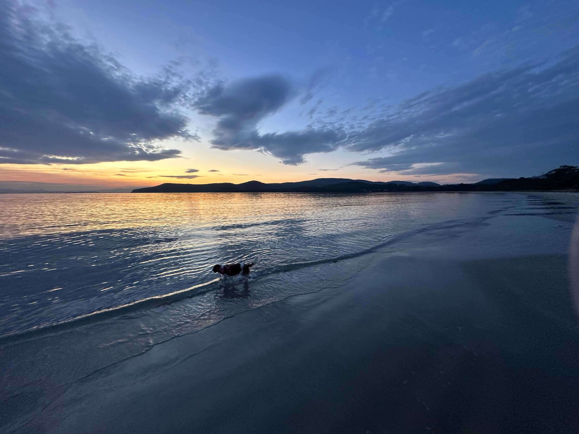 Twilight over the Tasman Peninsula — soft blue sky and orange horizon reflecting on wet sand.